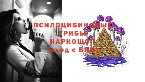 соль ск Балахна