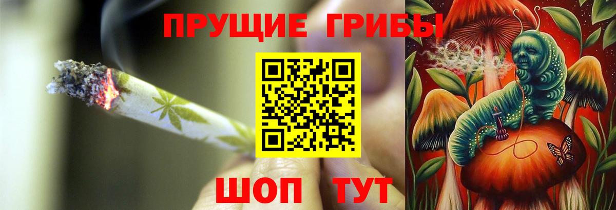 Зима  Галлюциногенные грибы мицелий  Вход с VPN 