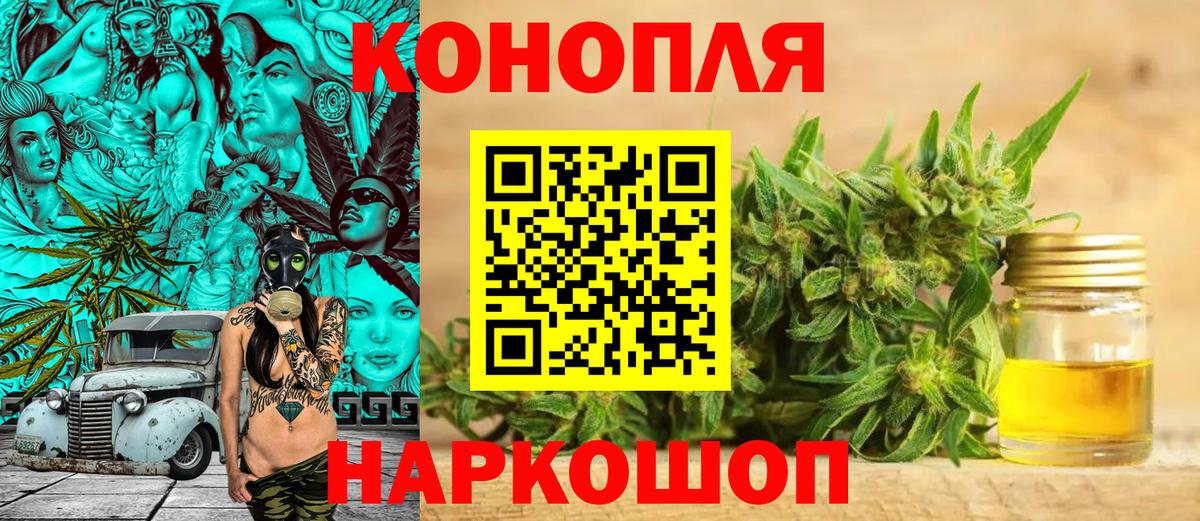 Бошки марихуана конопля Зима